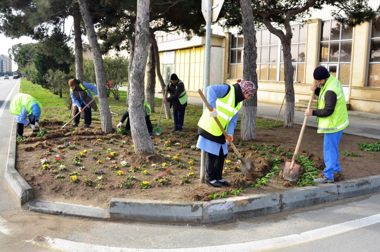 Pirallahı rayonunda iməcilik aksiyası keçirilib - FOTOLAR